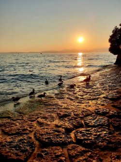IMG-20180802-WA0004.jpg