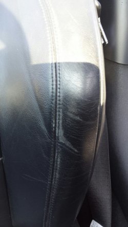 Fahrersitz Sitzwange.jpg