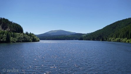 T04_0193.jpg