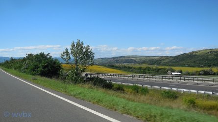 T04_0254.jpg