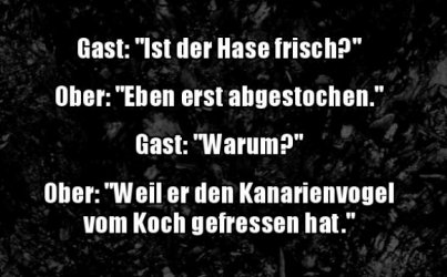 8Unbenannt.JPG