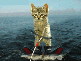 K4.gif