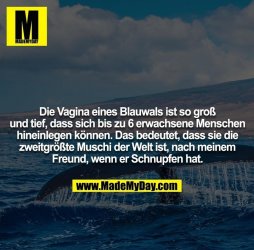IMG-20180808-WA0005.jpg
