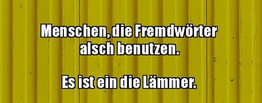 8Unbenannt.JPG