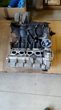 8DC366C4-B2AC-4DD8-89BC-D32B7C3C69BD.jpeg 8DC366C4-B2AC-4DD8-89BC-D32B7C3C69BD.jpeg