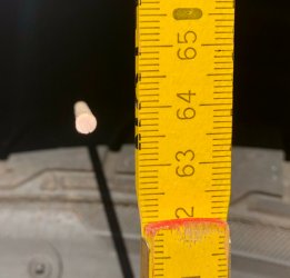 6DAE2E8B-9AE7-488C-9327-36BA6CAA13FF.jpeg