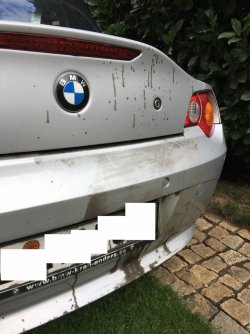 2018-08-11 08.44.55 - Kopie.jpg