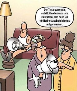 4Unbenannt.JPG