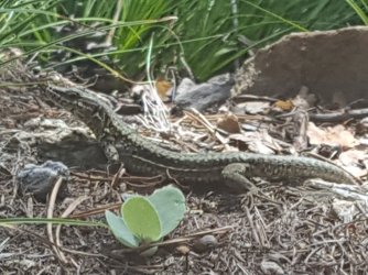 20180813_104423.jpg