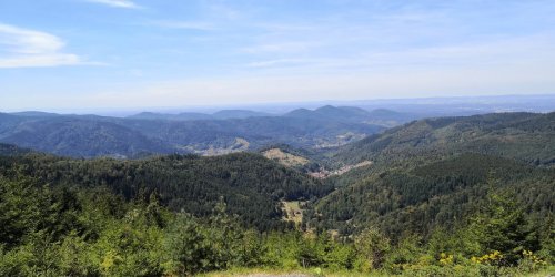 IMG_20180812_140230 k.jpg