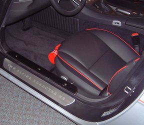 cartridge carbon fiber door sills 1.jpg