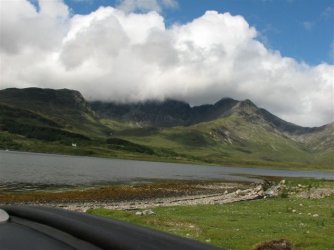 IMG_1179.jpg