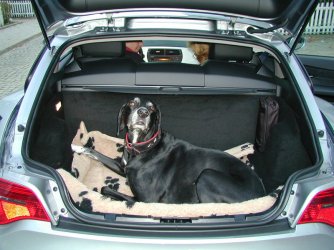 neues Auto Z4 09.10.2006 027.jpg
