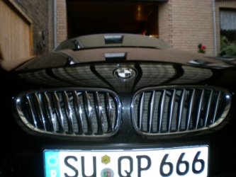 nierenstaebe2.jpg