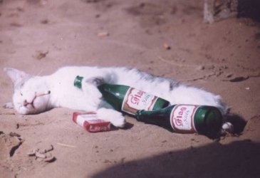 drug00018.jpg