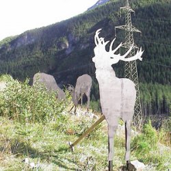 Hirsche_ alles Fassade!.jpg