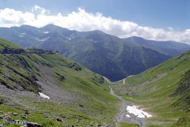 T06_0059.jpg