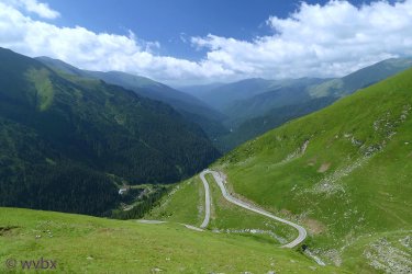 T06_0069.jpg