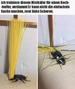 6Unbenannt.JPG