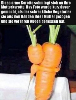 2Unbenannt.JPG