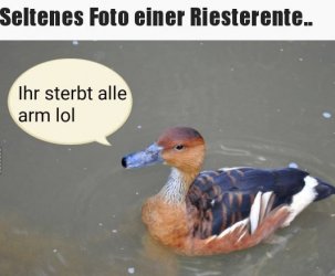 6Unbenannt.JPG