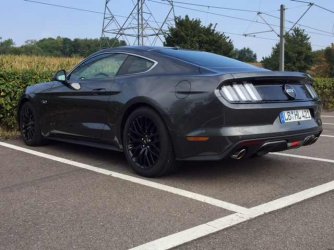 Mustang_seitlich_hinten(Kleine Ansicht)_7224.jpg