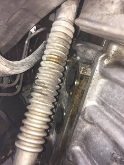 K1600_IMG_0123.JPG