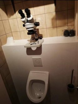 IMG-20180823-WA0007.jpg