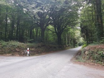 2018_0822_133753.jpg