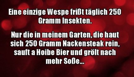 4Unbenannt.JPG