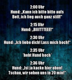 8Unbenannt.JPG