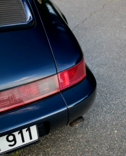 IMG_6155-687x1030(2).png