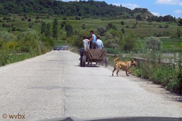 T06_0215.jpg