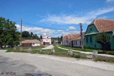 T06_0219.jpg