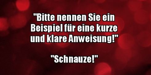2Unbenannt.JPG