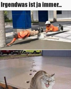 tUnbenannt.JPG