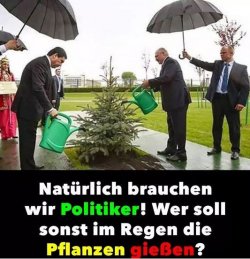 4Unbenannt.JPG