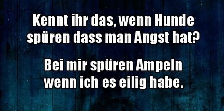 7Unbenannt.JPG