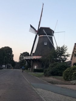 IMG_7167.jpg