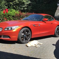 2B68C31A-2CB9-487A-897E-EEF799F7EF72.jpeg 2B68C31A-2CB9-487A-897E-EEF799F7EF72.jpeg