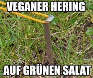 5Unbenannt.JPG