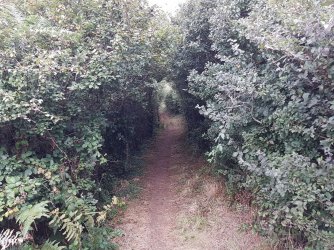 2018_0831_180506.jpg