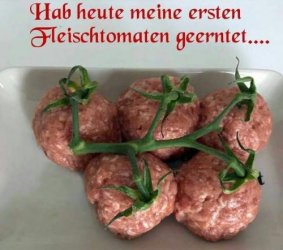 00747932-6F65-4516-83E5-D44CE1A2FA87.jpeg