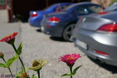 T06_0348.jpg