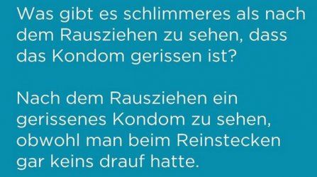 5Unbenannt.JPG