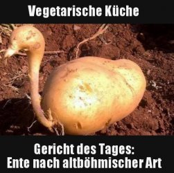 10Unbenannt.JPG