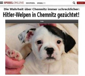 11Unbenannt.JPG