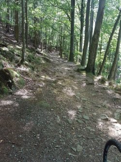 20180812_124606 (768x1024).jpg