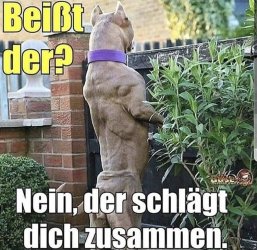 26D7EF0B-0A4D-47D5-91E5-0215E5C48933.jpeg