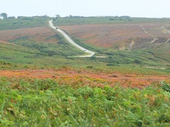 2018_0904_164529.JPG